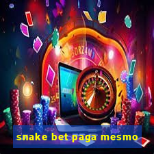 snake bet paga mesmo